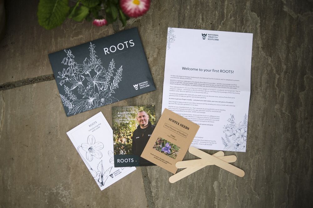 A display of ROOTS leaflets, letters, wooden plant labels and seed packs is fanned out on a stone patio.