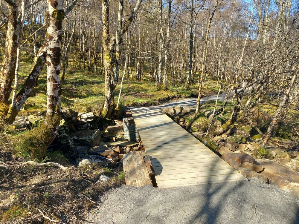 A newly laid boardwalk path runs through woodland.