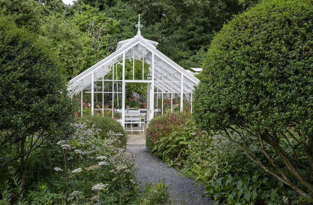 A white framed glasshouse stands in the corner of a garden, surrounded by tall hedges and trees. A narrow gravel path leads towards the door.