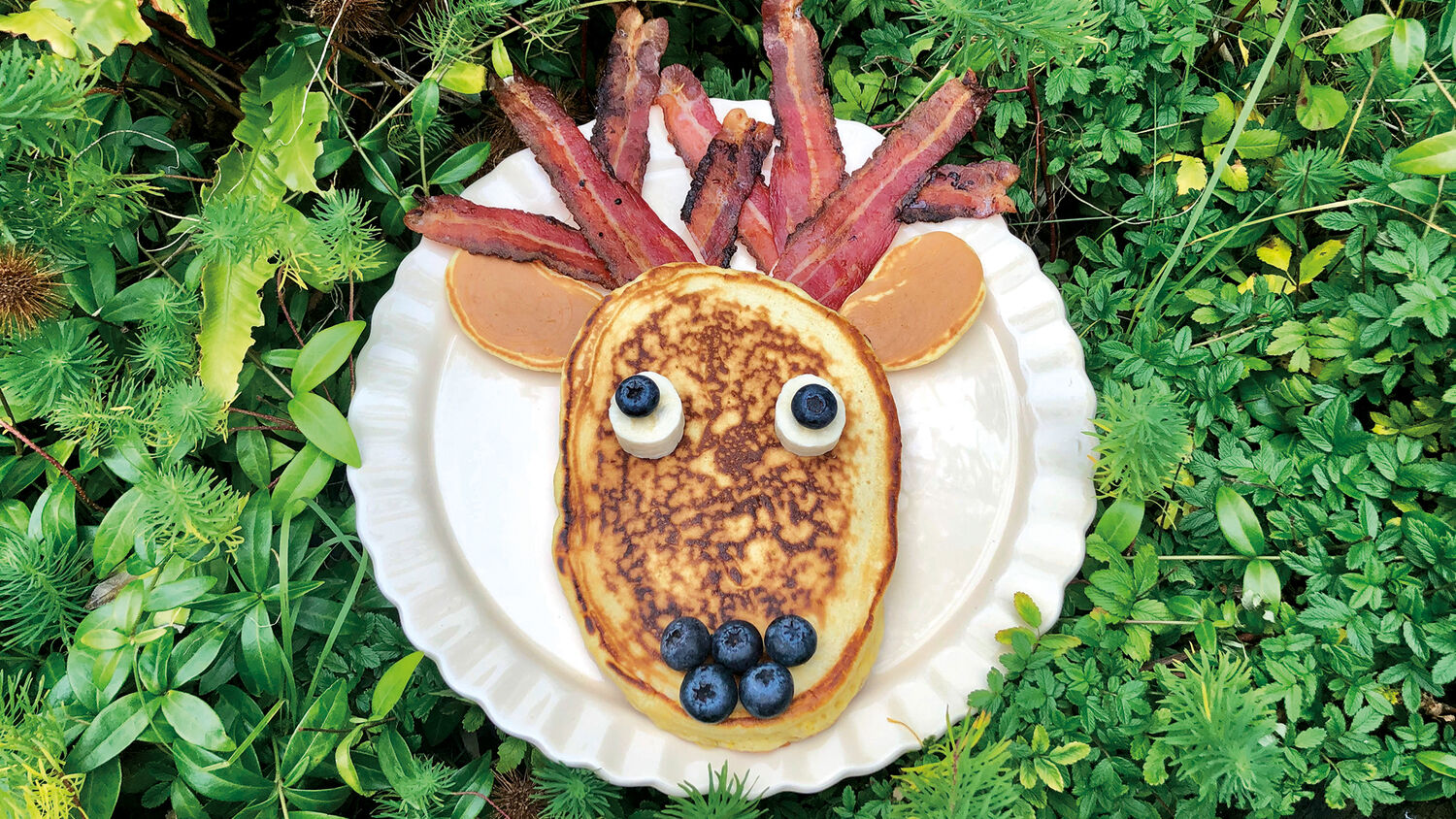 Best for Brekkie! National Trust for Scotland