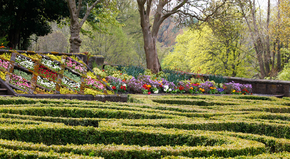 A view of a parterre garden, with a sloping  bed filled with colourful flowers in the background. Beyond that is a woodland of mainly deciduous trees.