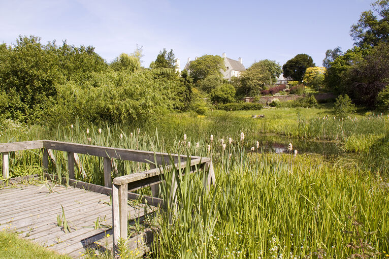 A viewing platform looks over the pond in Inveresk Lodge Garden