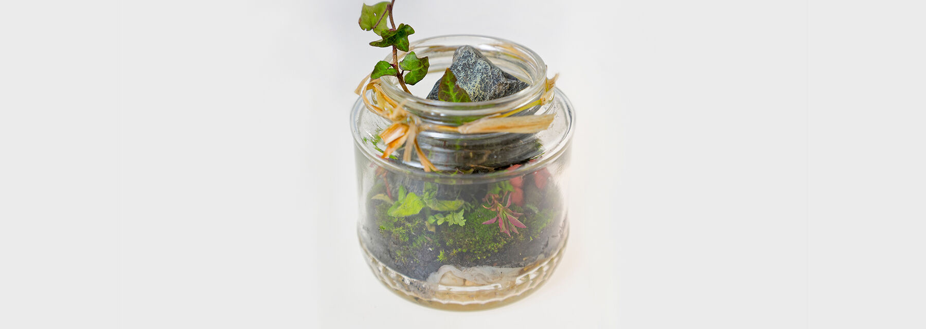 A jam jar filled with stones, moss and a piece of ivy.