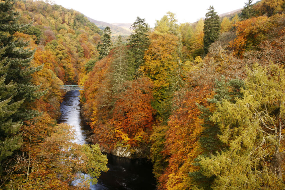 An aerial colour photograph of Killiecrankie in autumn, showing the trees in their autumn colours. The rivers runs through the centre of the image, with the footbridge in the distance.