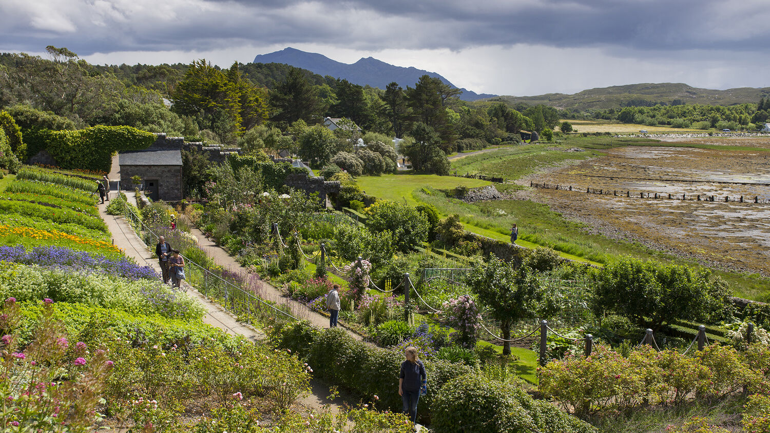A view across the walled garden of Inverewe Garden. The dark shapes of mountains loom in the distance, and in the garden visitors walk along the pathways.