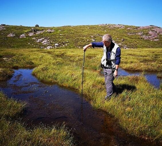 A man sticks a narrow rod into a pool of water in bogland. It is a bright sunny day.