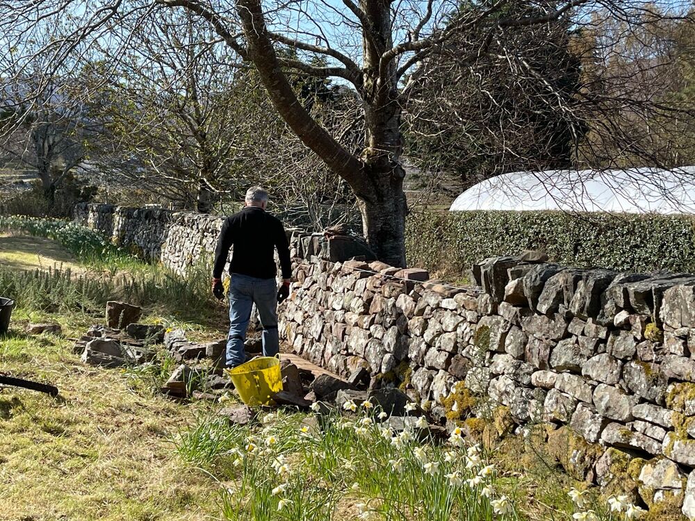 A man is standing next to a drystone wall. There is a yellow bucket on the ground in front of him.