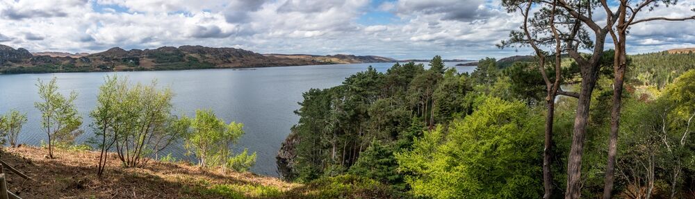 A panoramic view of a sea loch, with woodland shores in the foreground. Rocky, treeless crags can be seen across the loch.
