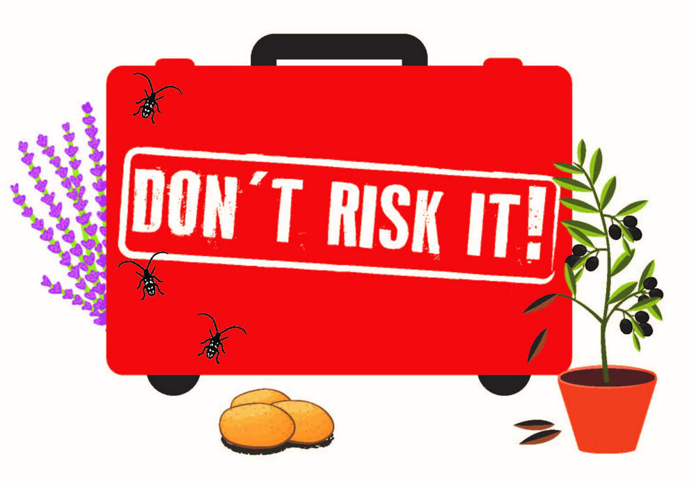 Don’t Risk It! – protecting our plants… | National Trust for Scotland