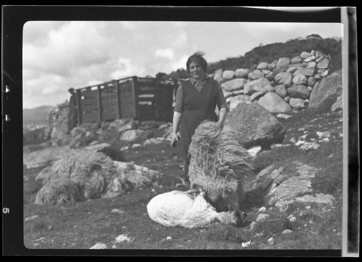A black and white photo of a woman shearing sheep. She holds a fleece in her left hand, and a sheep lies at her feet.