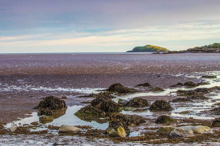 Low tide at Rockcliffe, with a few seaweed-covered rocks in the foreground before a vast expanse of wet sand.