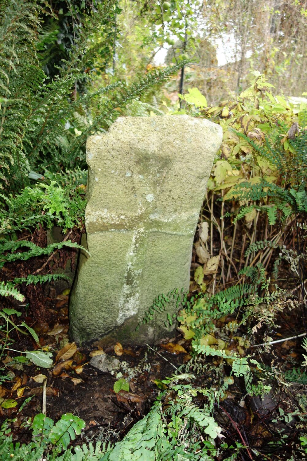 A tall rectangular slab of stone stands, at a slight angle, in a garden area, surrounded by fallen leaves and ferns. On the slab is a faded image of a Celtic-type cross.