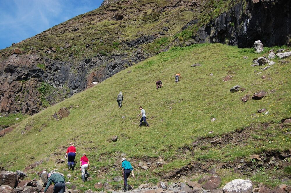 A line of people walking across a steeply sloped landscape surveying for moths.