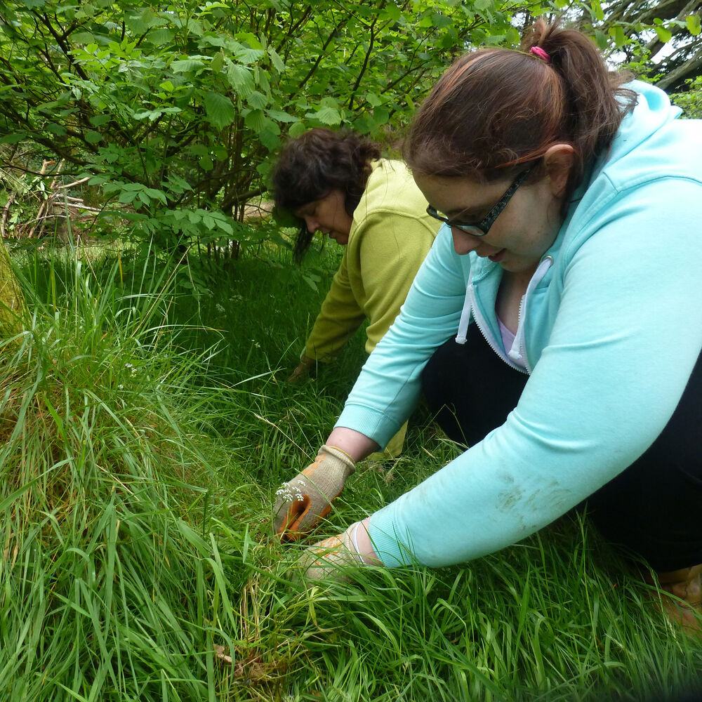 Two women wearing light hoodies kneel beside a grassy bank, planting. Both wear gardening gloves.