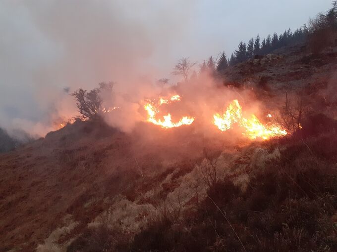 A line of blazing fire burns through the vegetation on the hillside of Ben Lomond.