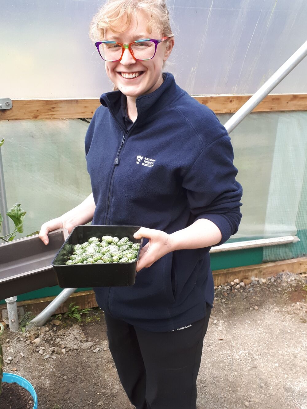 A smiling woman wearing glasses is holding a tray of garden bulbs. She is wearing a National Trust for Scotland fleece.