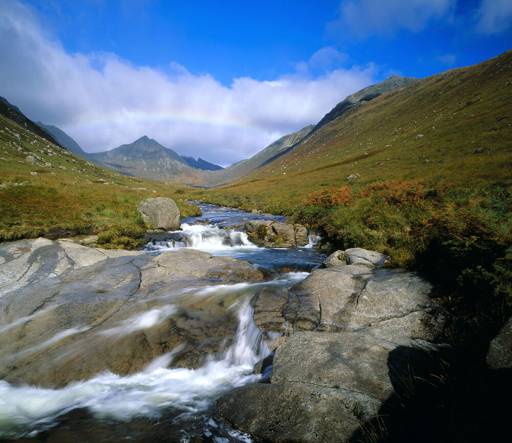 Reforesting Glen Rosa | National Trust for Scotland
