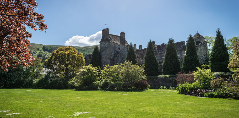 A view of Falkland Palace from the gardens on a sunny summer's day. A stretch of green lawn ends in a collection of different trees and shrubs. Behind those the stone walls of the palace are visible, with the tower stretching up into the blue sky.