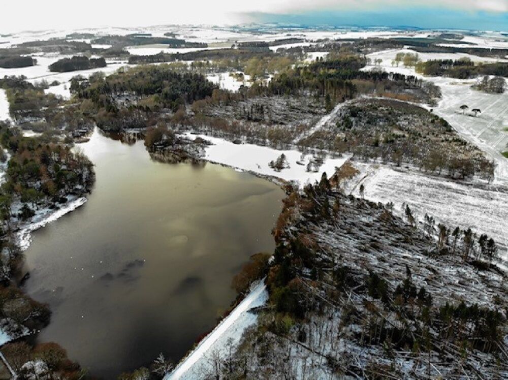 An aerial image showing a snowy landscape with a large loch in the foreground. Beside it are significant areas of flattened woodland, with huge numbers of trees lying on the ground.