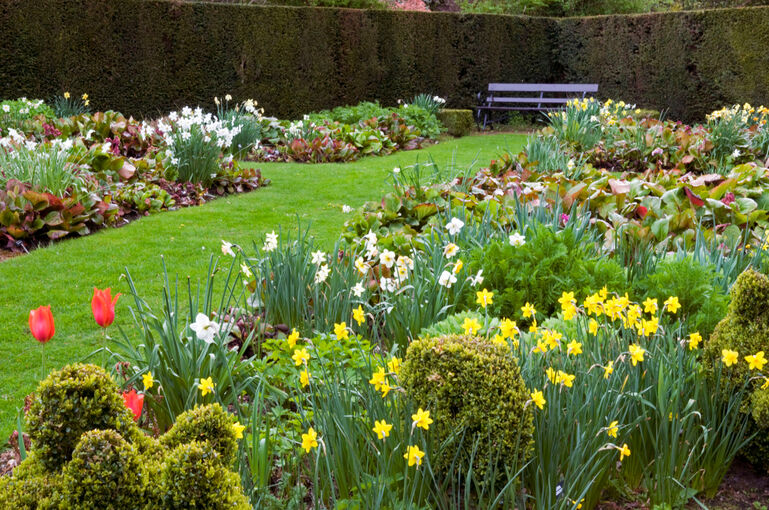 A lawn flanked by two borders, filled with spring flowers including daffodils and tulips.