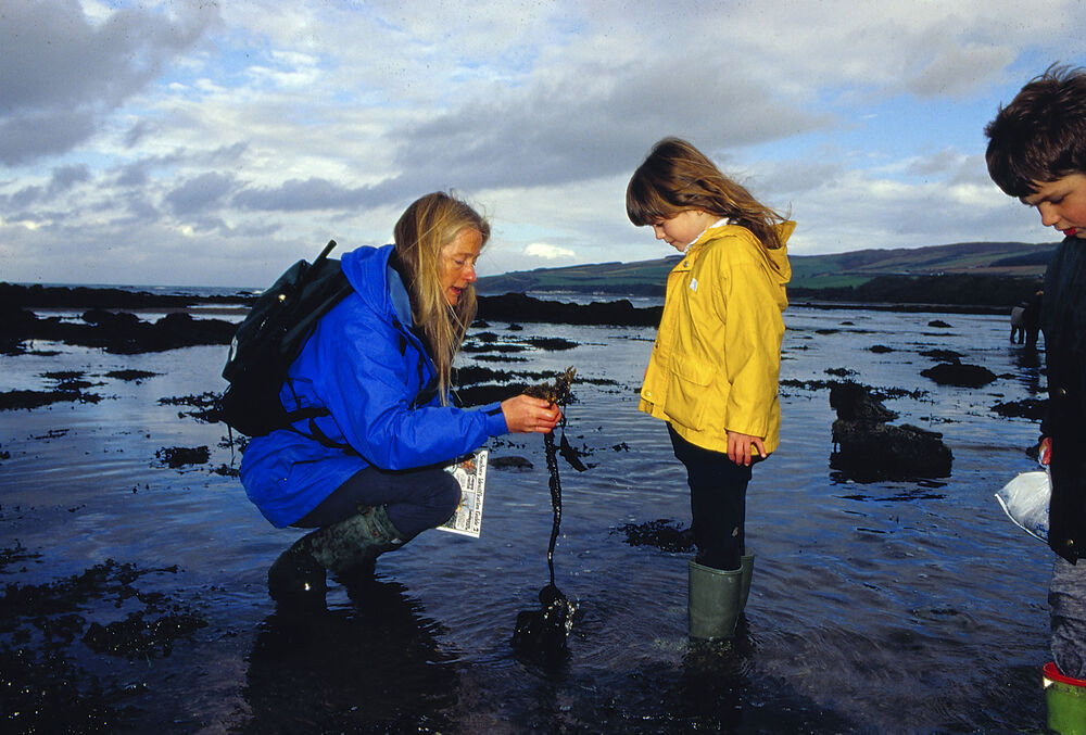 A young woman and two children look at seaweed on the shore, paddling in shallow water. All wear wellies and waterproofs. The woman is crouching down and showing the young girl a piece of seaweed.