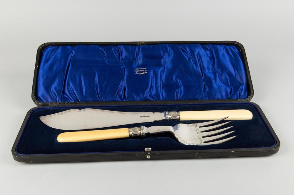 A fish knife and fork, with bone handles, lie in a blue velvet-lined box. The box is displayed against a plain grey background.