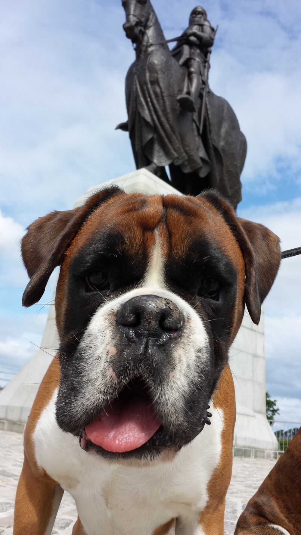 A close-up of the head and chest of a boxer, with the statue of Robert the Bruce on a horse looming behind him. It’s a sunny day.