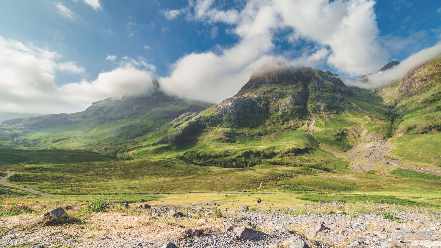 can you bury your dog in your garden in scotland