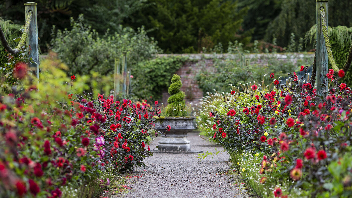 A gravel path leads through the centre of a walled garden, with colourful flower beds either side. A stone urn stands in the middle of the path a little way ahead. Wooden climbing supports stand in the bed.