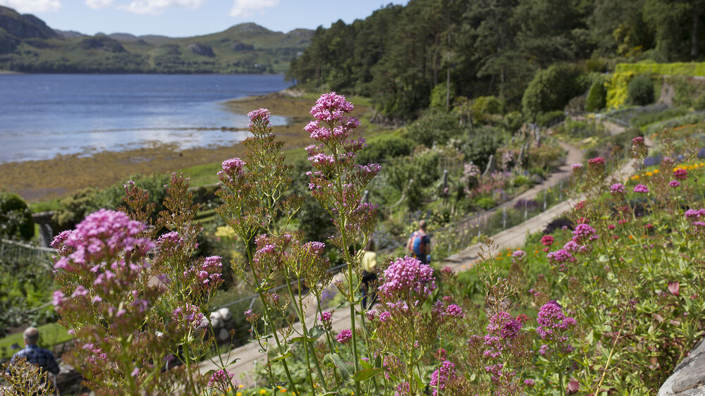 A view of a terraced garden in full bloom beside a loch on a sunny day. Gravel paths lead through the garden, and a couple walk along one. Tall pink flowers grow in the foreground. Mountains can be seen in the distance on the other side of the loch.