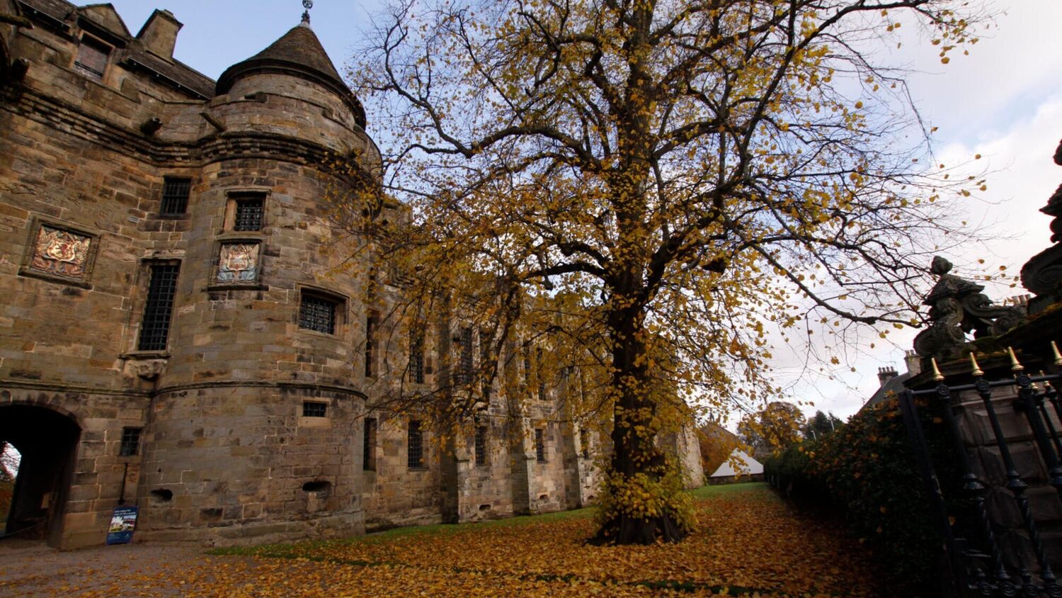 Falkland Palace in autumn, with a large tree in front, its leaves on the ground.