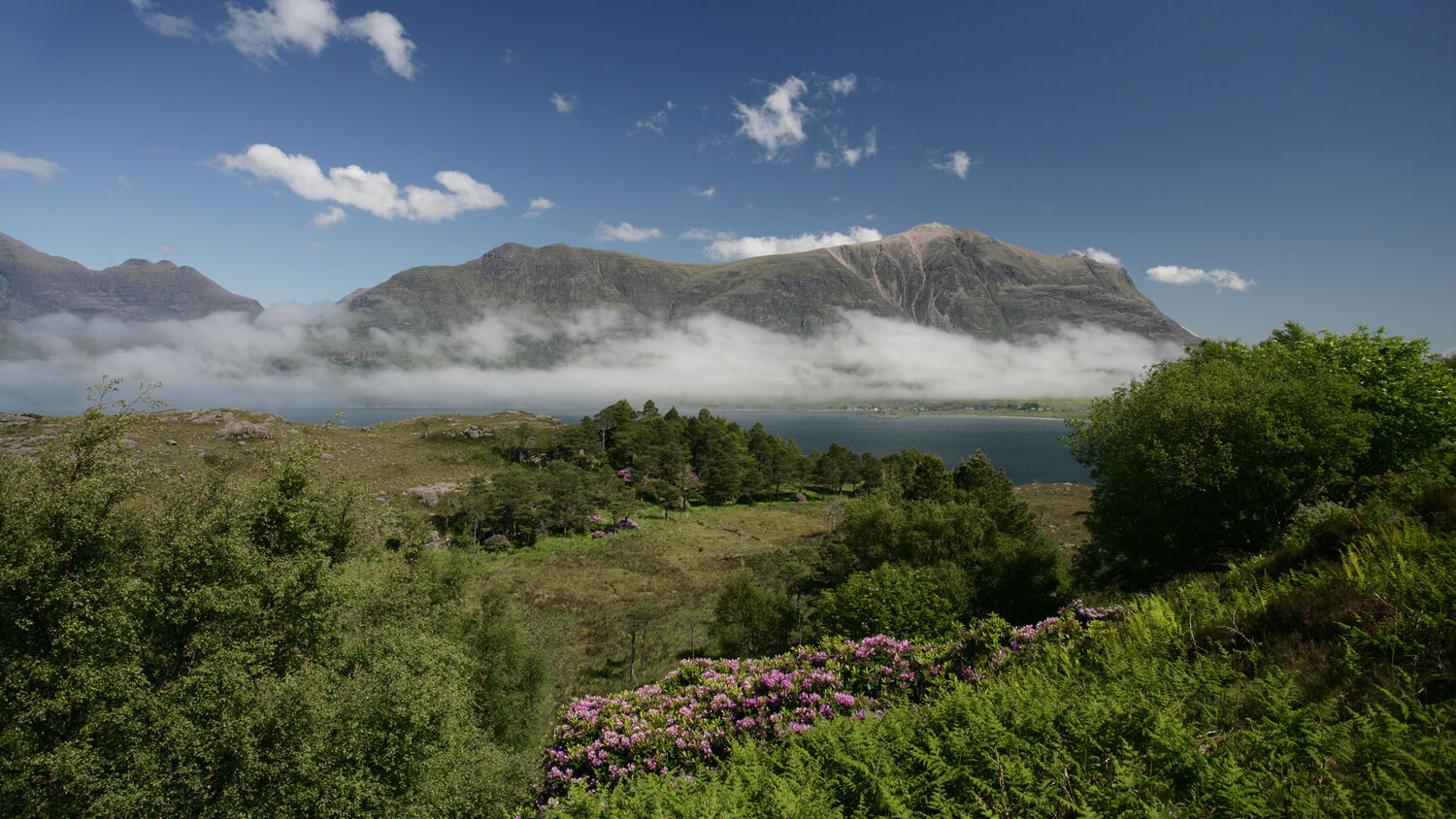 Torridon’s Half A Century Of Wonders 