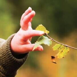 Child's hand gently touching a leaf