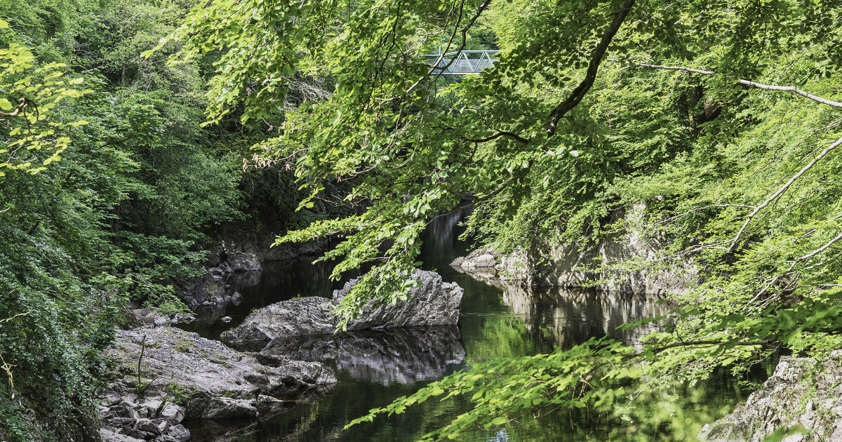 Linn of Tummel | National Trust for Scotland