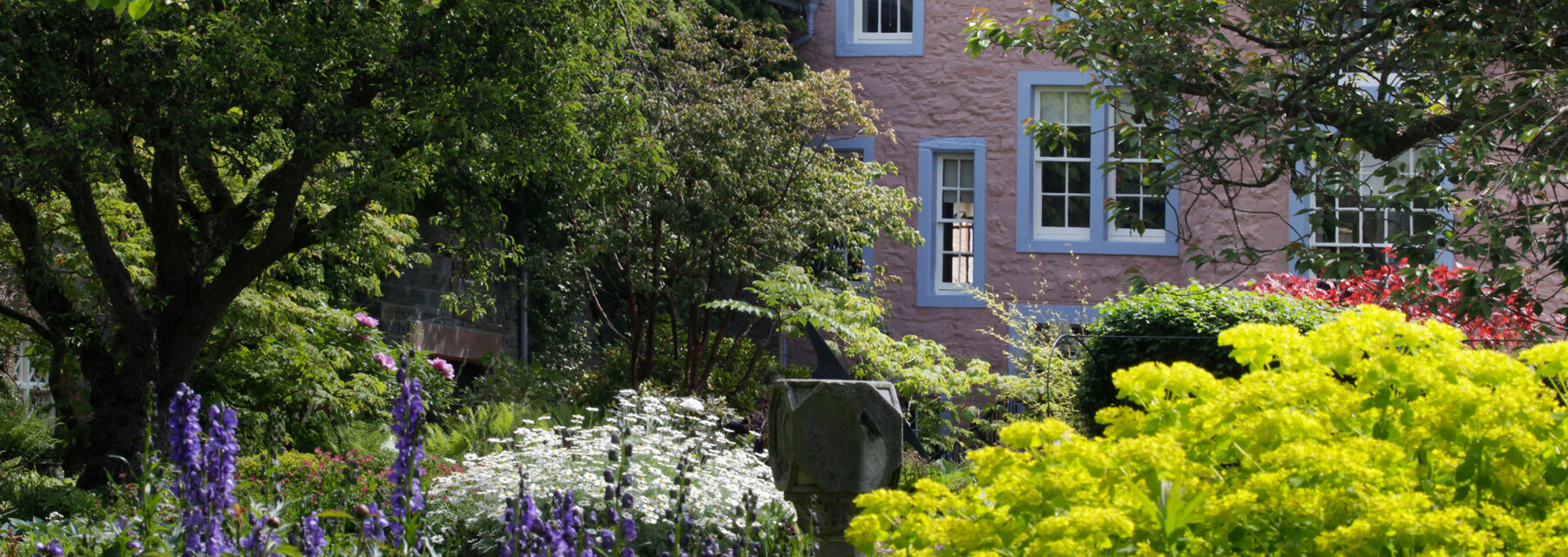 A view of the pink walls of a stone townhouse, seen from a colourful and lush garden. Irises grown in the foreground.