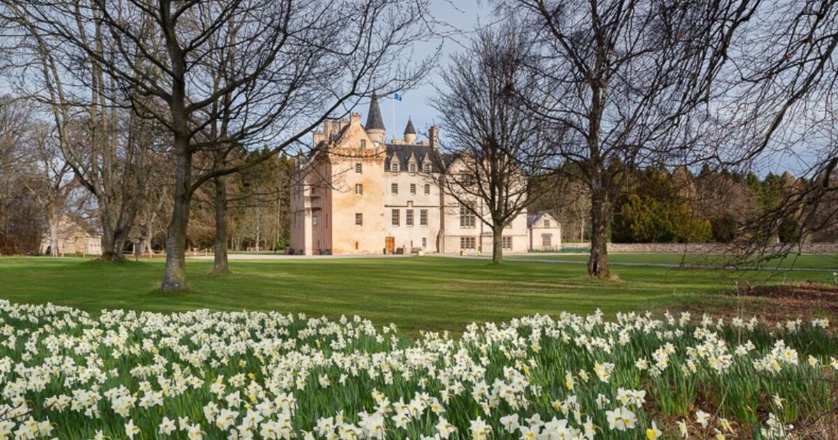 Brodie s blooming marvellous springtime National Trust for Scotland