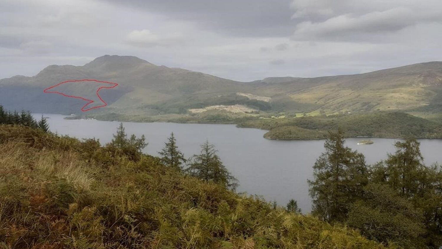 A view of the mountain Ben Lomond, from the west side of Loch Lomond. A large area of the lower slopes has been marked out with a red line. Pine trees and bracken grow in the foreground.