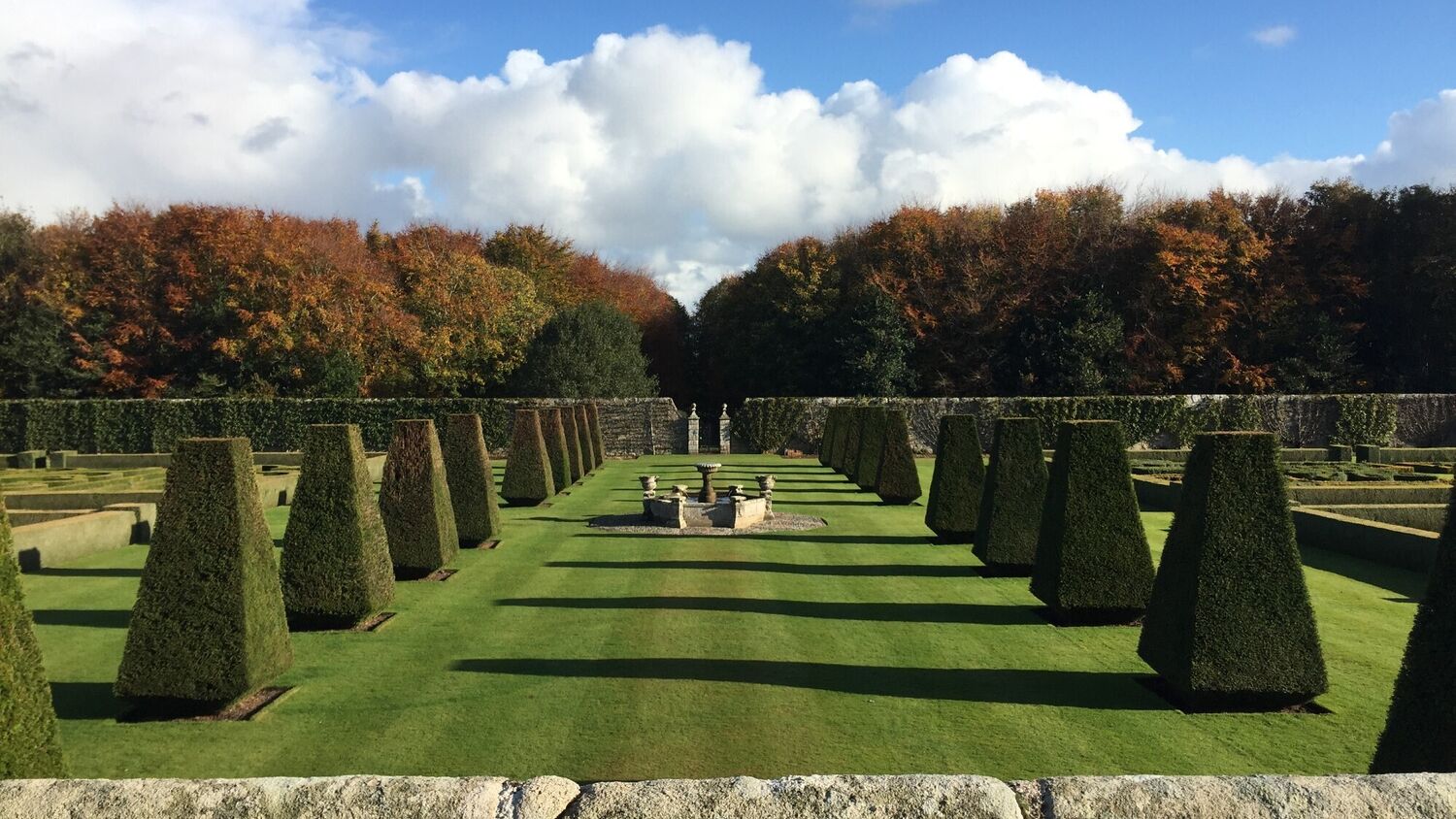 Two rows of topiary yew obelisks form an avenue in a formal garden.