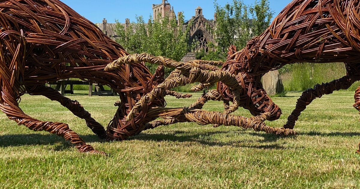 Animal willow sculptures on display at… National Trust for Scotland