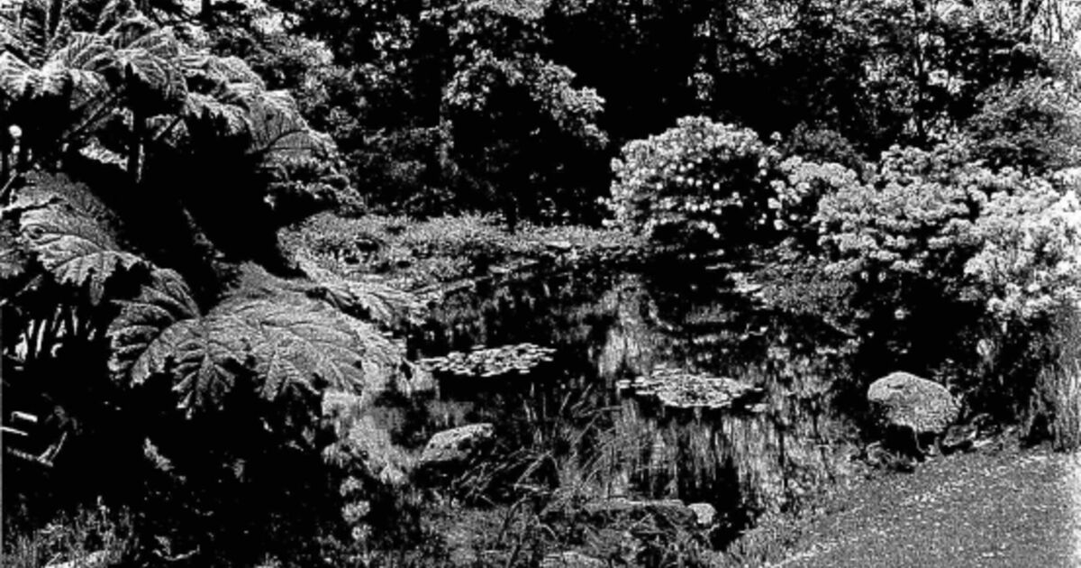 The creation of the woodland garden at… National Trust for Scotland