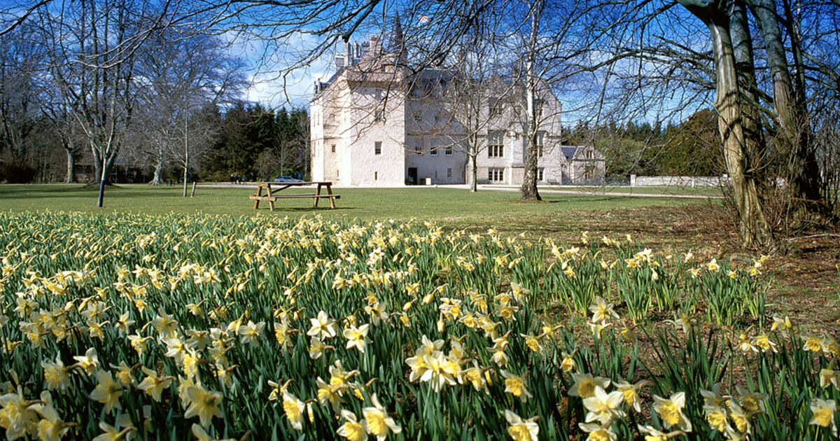 See Brodie blooming National Trust for Scotland