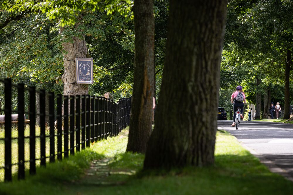 A woman bikes down an avenue lined with trees in a park. On her left is a black railing fence separating the park itself from this roadway. Just behind the fence there is a tree with a portrait hanging from it.