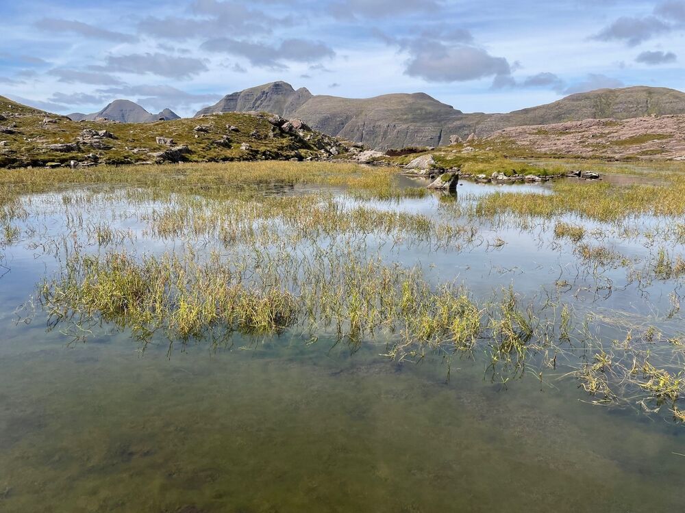 Reeds and grass grow through a shallow pool in the foreground. Beyond rise steep rocky mountains.