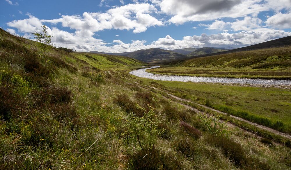 A sweeping view of Glen Geldie on a sunny blue-sky day. The River Geldie cuts through the scrub and grass banks, and in the distance mountains are visible.