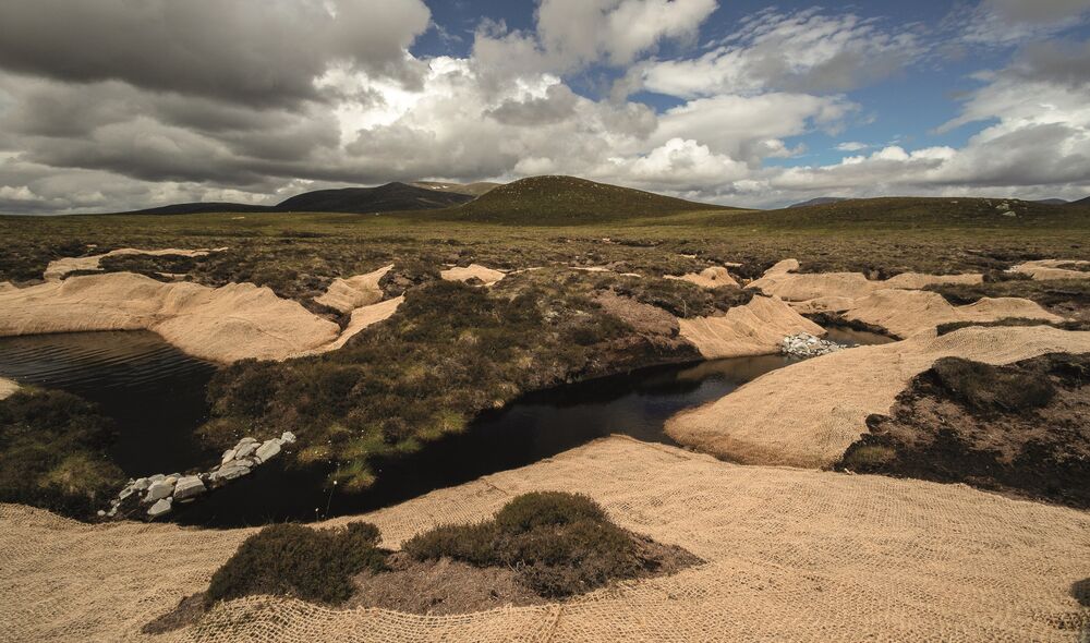 Thick sand-coloured heavy netting covers areas of restored peat on the winding banks of a river.