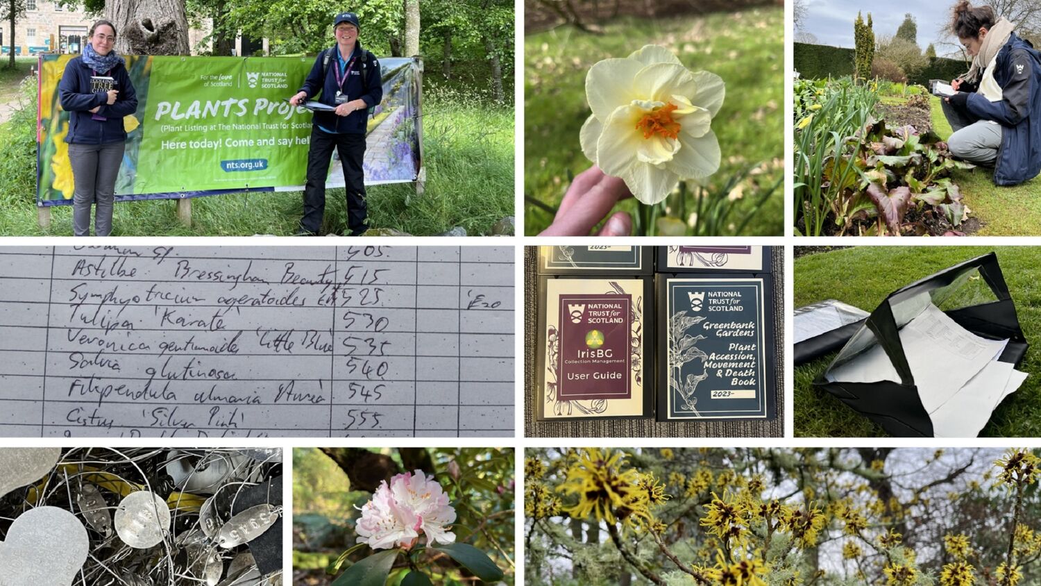 A composite image showing some images of gardens and plants. On the top row, from left to right, are photos of two women by a banner advertising the PLANTS project; a close-up of a daffodil; and a woman kneeling by a flower bed taking notes. On the middle row, from left to right, are an extract from a handwritten plant list; some instruction manuals; and an open waterproof folder containing documents, lying on the lawn. On the bottom row, from left to right, are a close-up of a pile of silver plant tags; a close-up of a pale pink rhododendron flower; and a close-up of a yellow-flowering shrub.