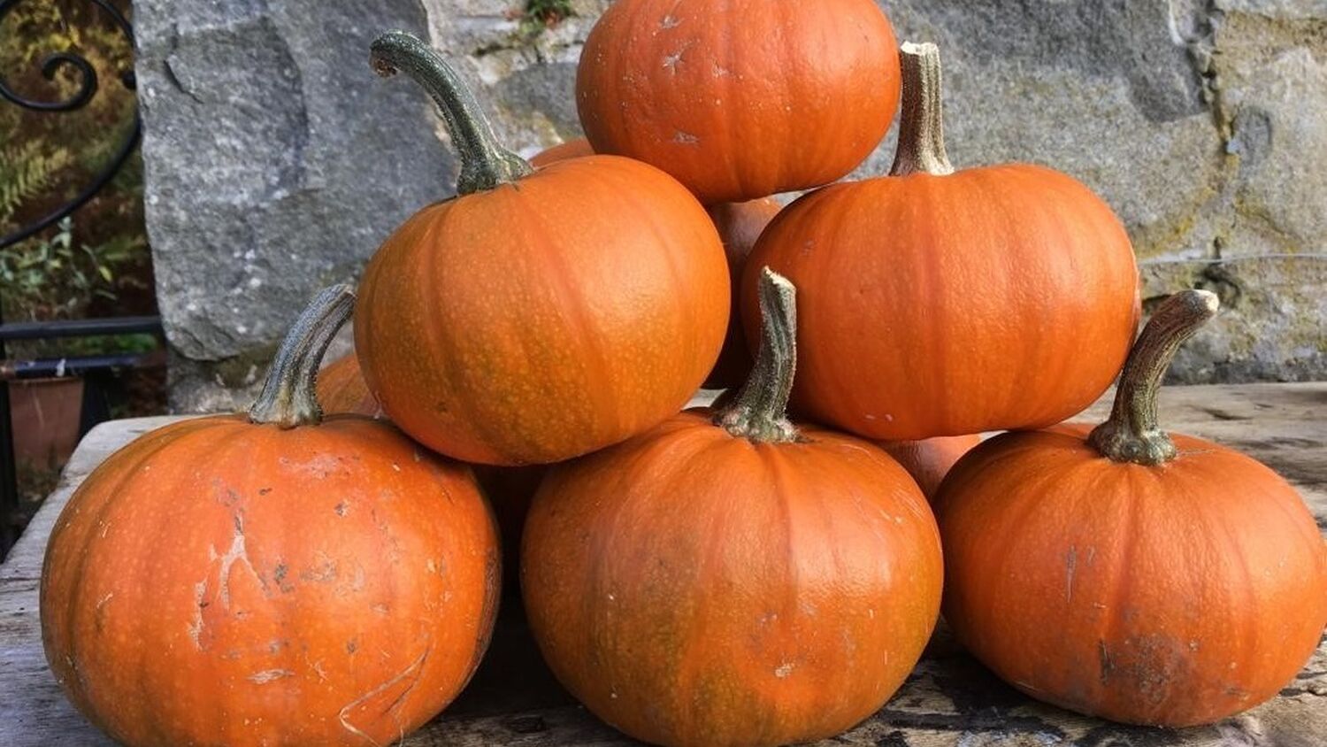A pyramid of pumpkins is displayed on wooden boards in front of a grey stone wall.